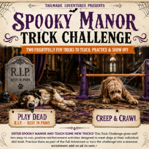 Spooky Manor Trick Challenge