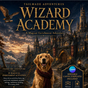 Wizard Academy Ultimate Adventure Kit